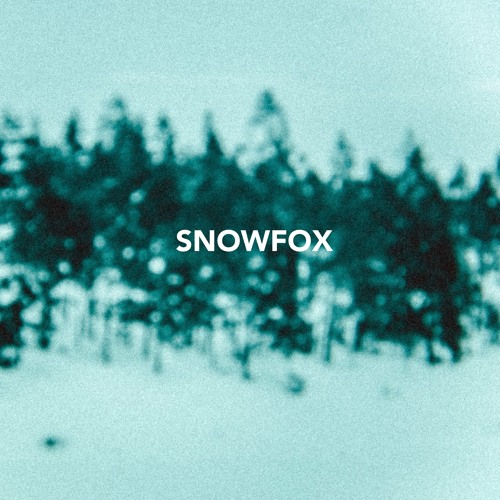 Indie Band Outer Re-Interpret ‘1984’ with Their New Single, “Snowfox”