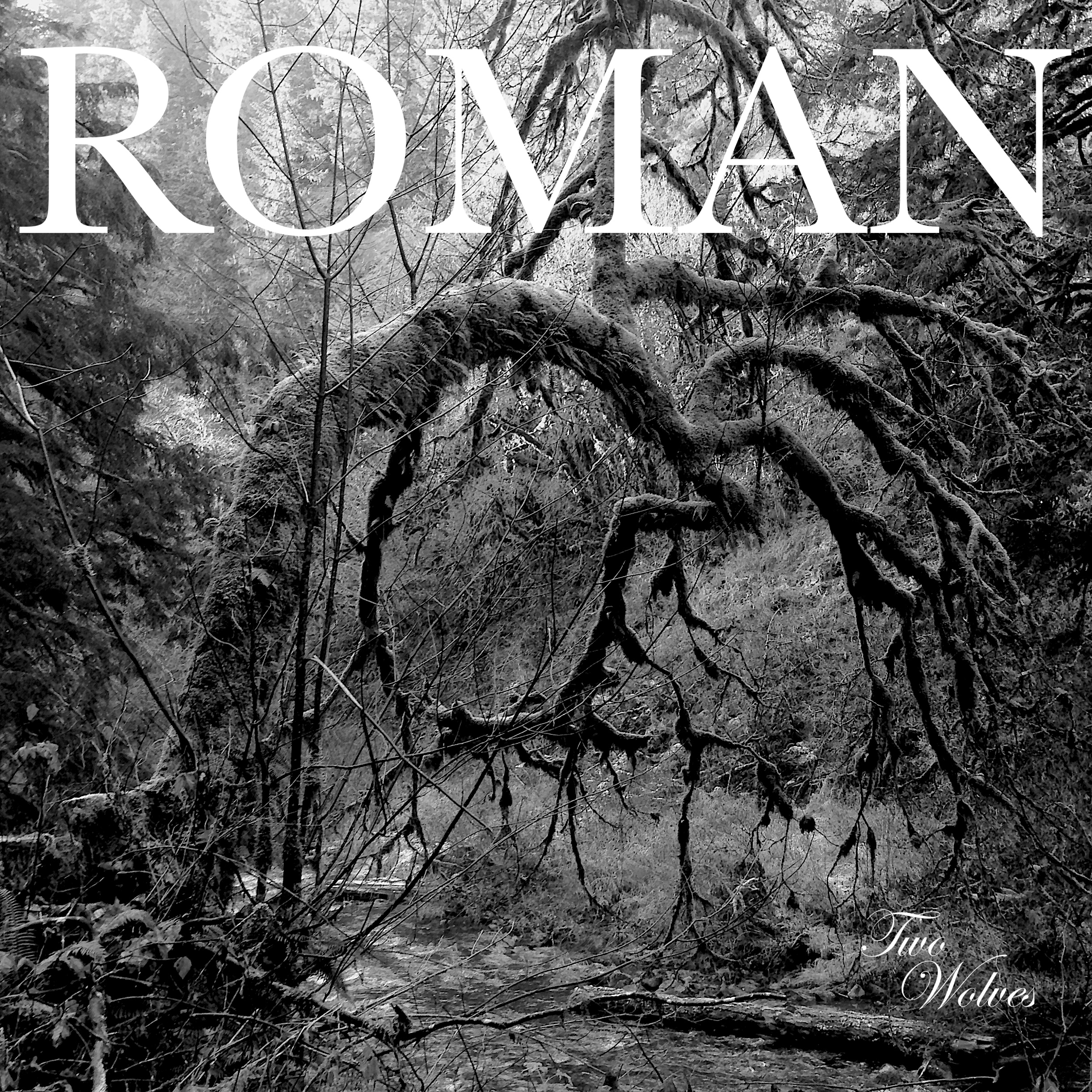 Feeding Two Wolves with Portland Band Roman